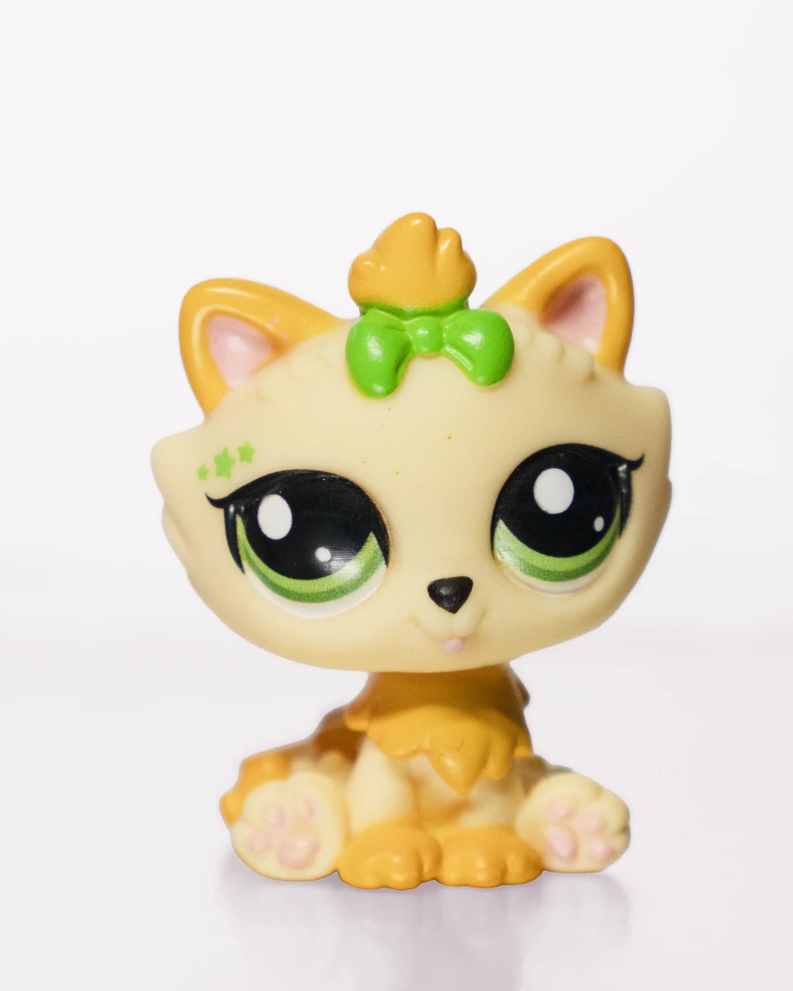 Himalayan Cat with Green Bow, front view