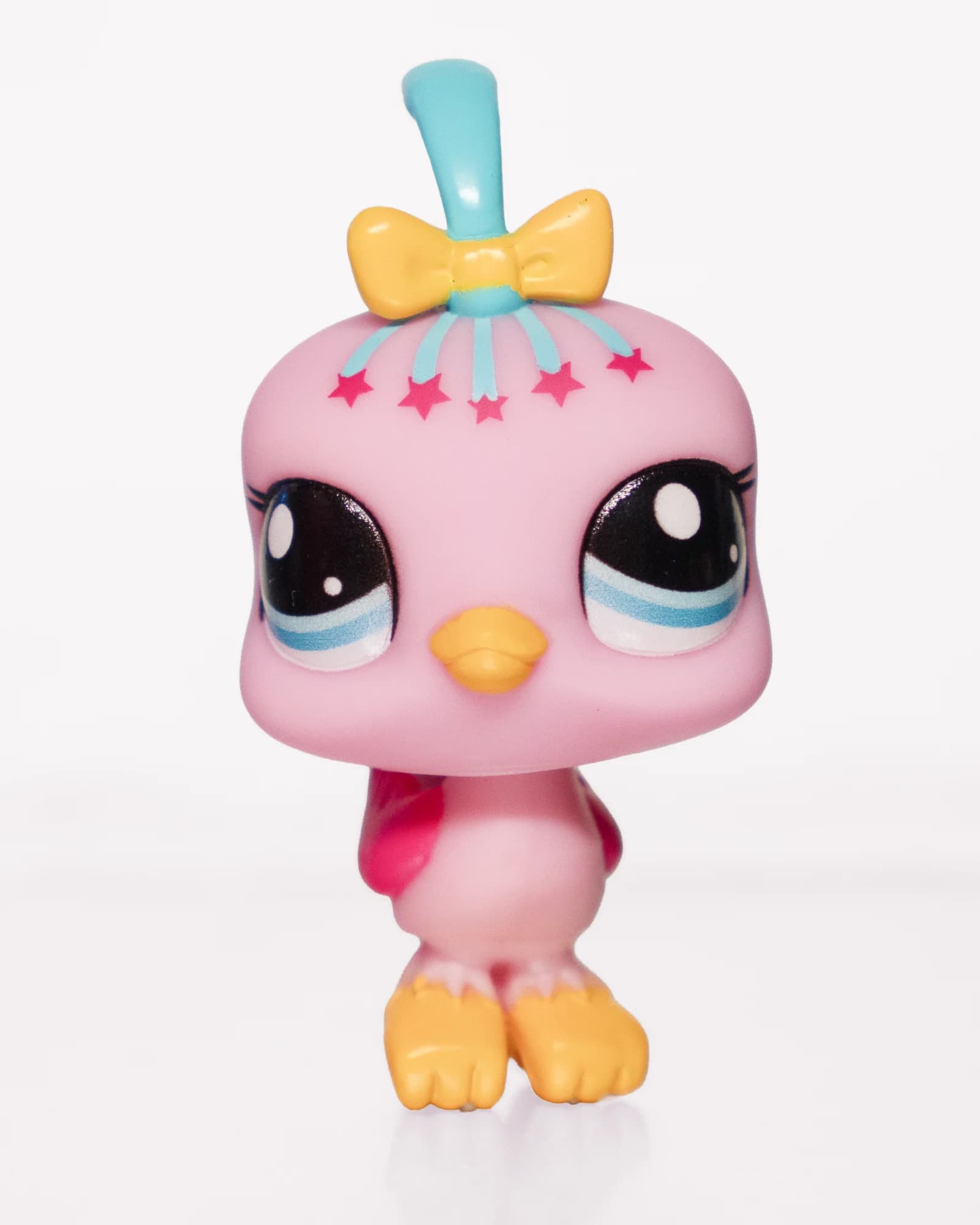Pink Peacock, front view